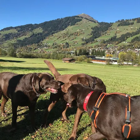 Apartman Haus Tirol *